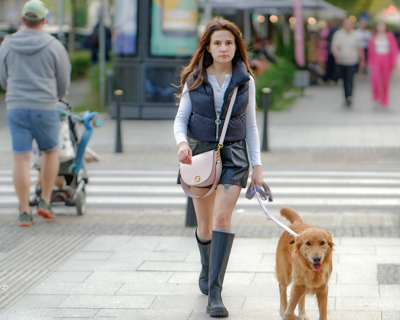 wandelen met je hond - hondvriendelijke steden