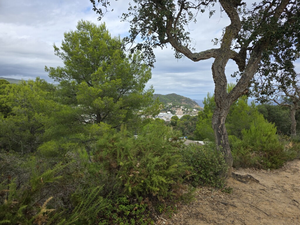 Blik op Tossa de mar.