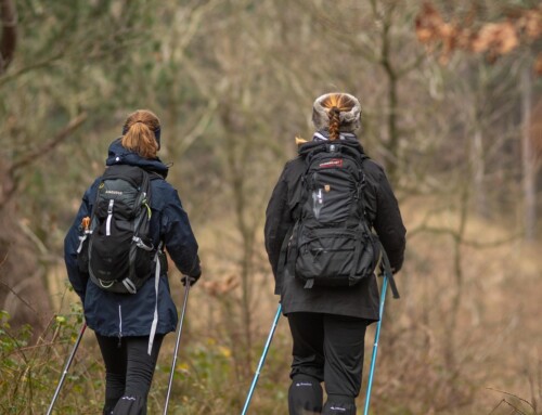 Morgen een flinke wandeling? Zo bereid je je vandaag al voor!