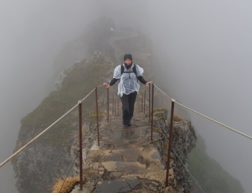 Wandelen op Madeira: vanaf 2026 geen spontane avonturen meer