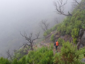 Madeira wandelen mist