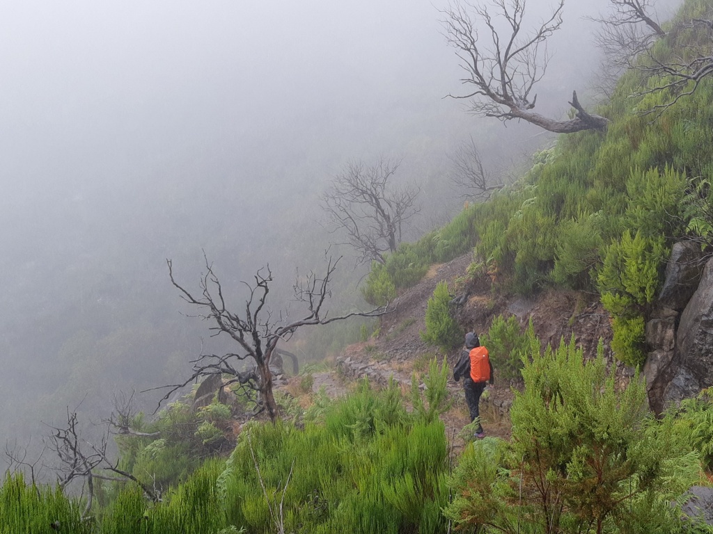 Madeira wandelen mist