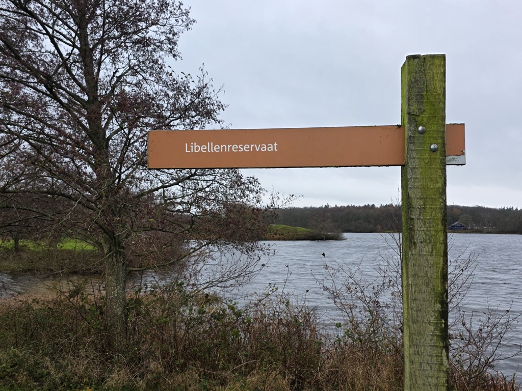 Libellenreservaat - wyldemerk - 