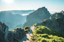 madeira