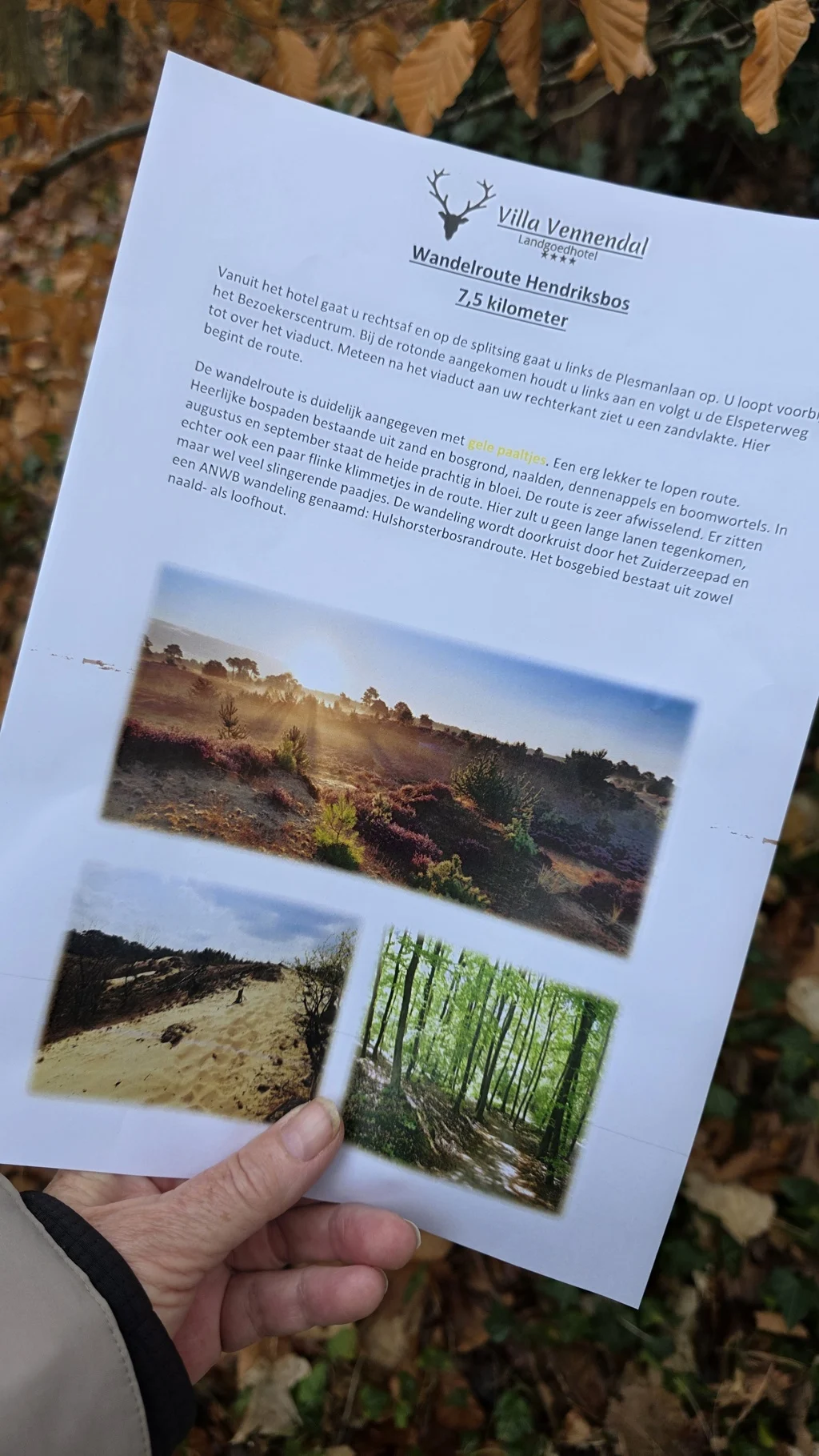 beschrijving A4 Hendriksbos Wandelroute