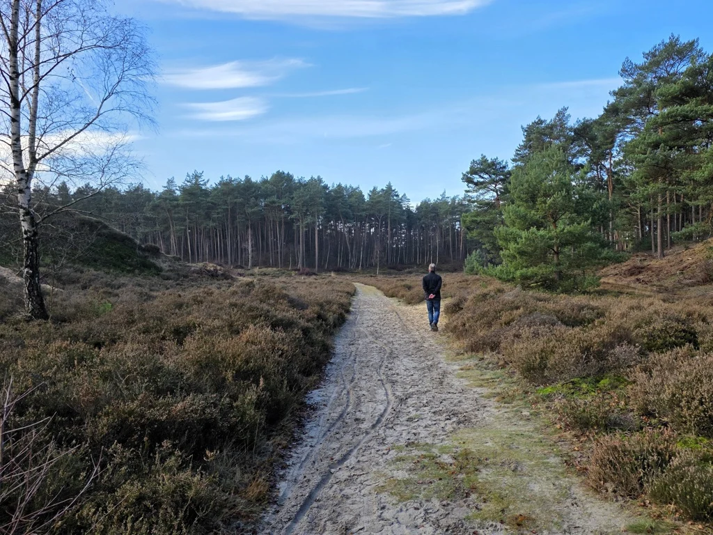 Hendriksbos wandelroute