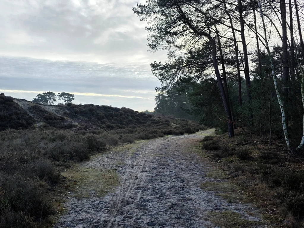 Hendriksbos heide