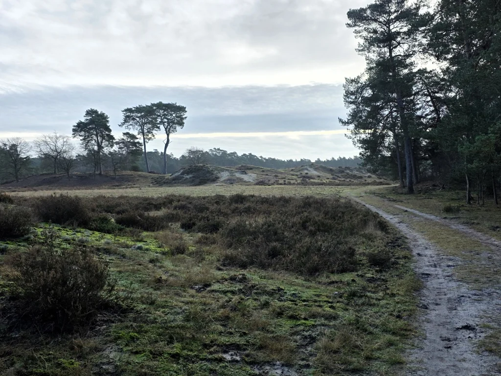Hendriksbos heide