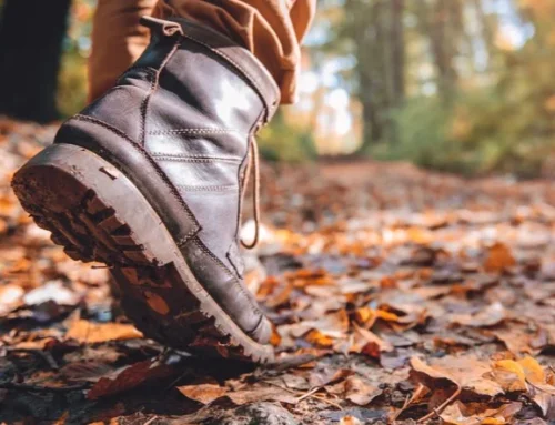 Hoe gezonde voeding jouw wandelprestaties verbetert