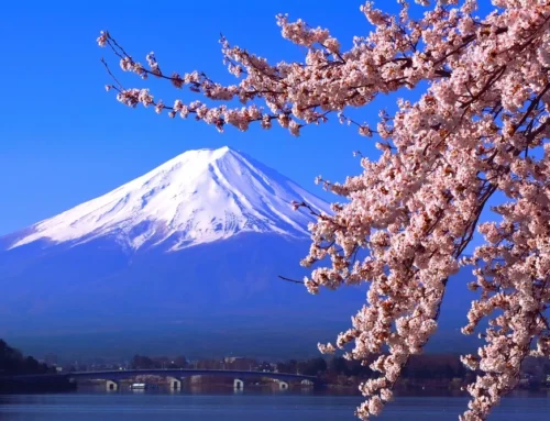 Japan te voet: waarom het vroege voorjaar een magisch wandelseizoen is