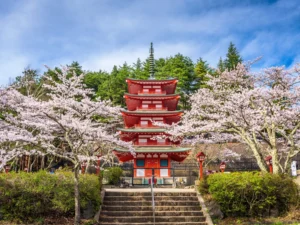 pagode in de bloesems