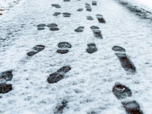 wandel als een pinguïn - voetstappen in de sneeuw