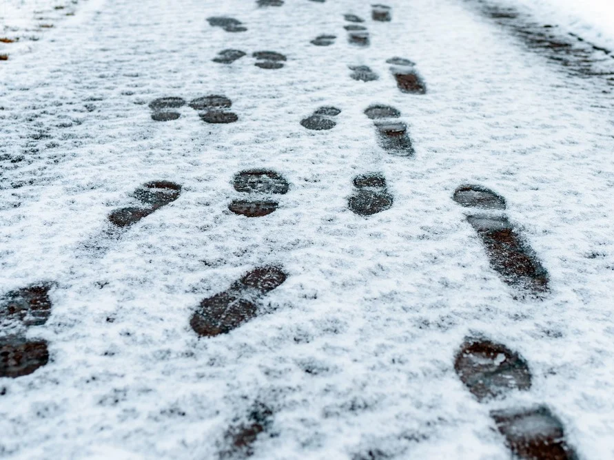 wandel als een pinguïn - voetstappen in de sneeuw 