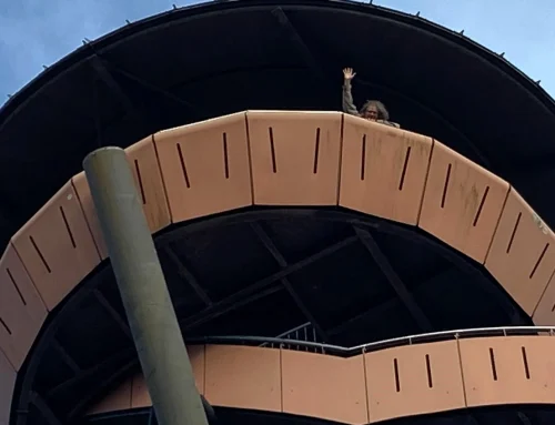 Wandelen vanuit je boslodge: de Hendriksbos‑route bij Villa Vennendal