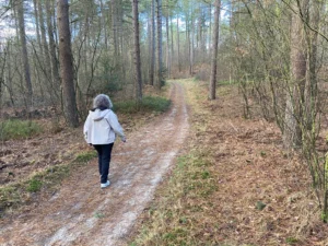 Hendriksbos Nunspeet Veluwe