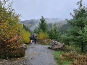 Wandelen in België Hoge Venen