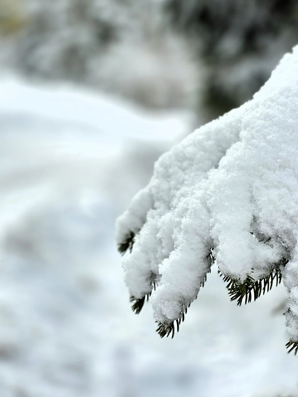 20260128_102928 – kopie