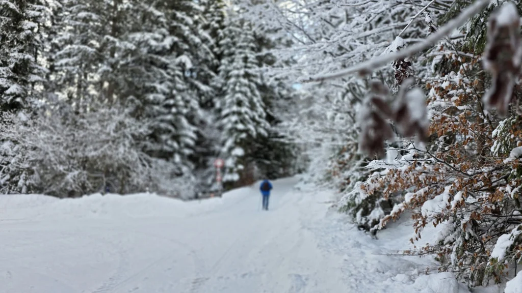 winterwandelen in Seefeld Multi day hike Tiroler Hoogvlakte