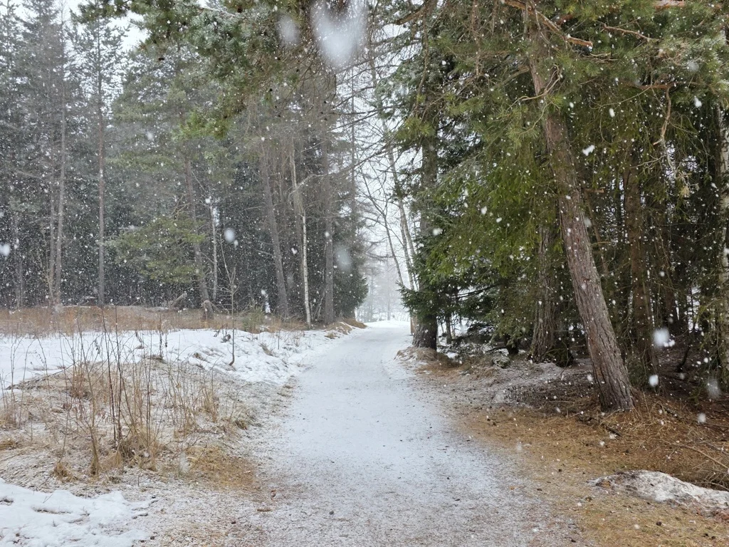 Sneeuwval op de mulit day hike Seefeld