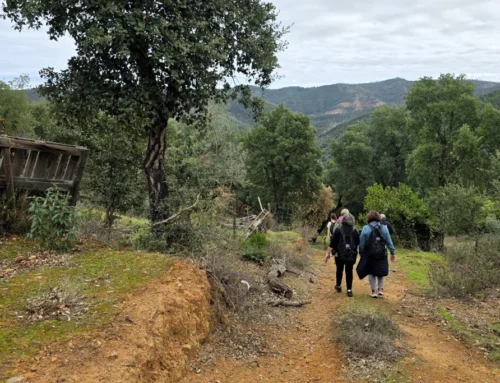 Wandelfestivals in de Algarve: een paradijs voor wandelaars, het hele jaar door