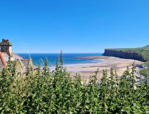 Het langste kustpad ter wereld is open — en ik kan niet wachten om weer mijn wandelschoenen te strikken