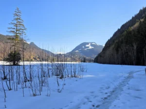 culinariry hike Mellau - Bizau -Bezau