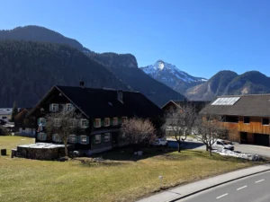 Bregenzerwaldhäuser.