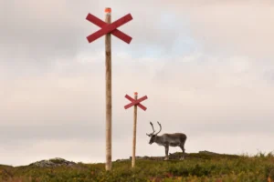 Laplandsleden
