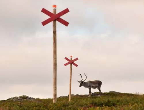 Waarom de Laplandsleden? Van droom naar beslissing