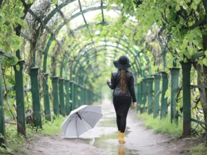 wandelen na regen