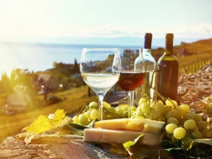 wijn, kaas en druiven op een terras