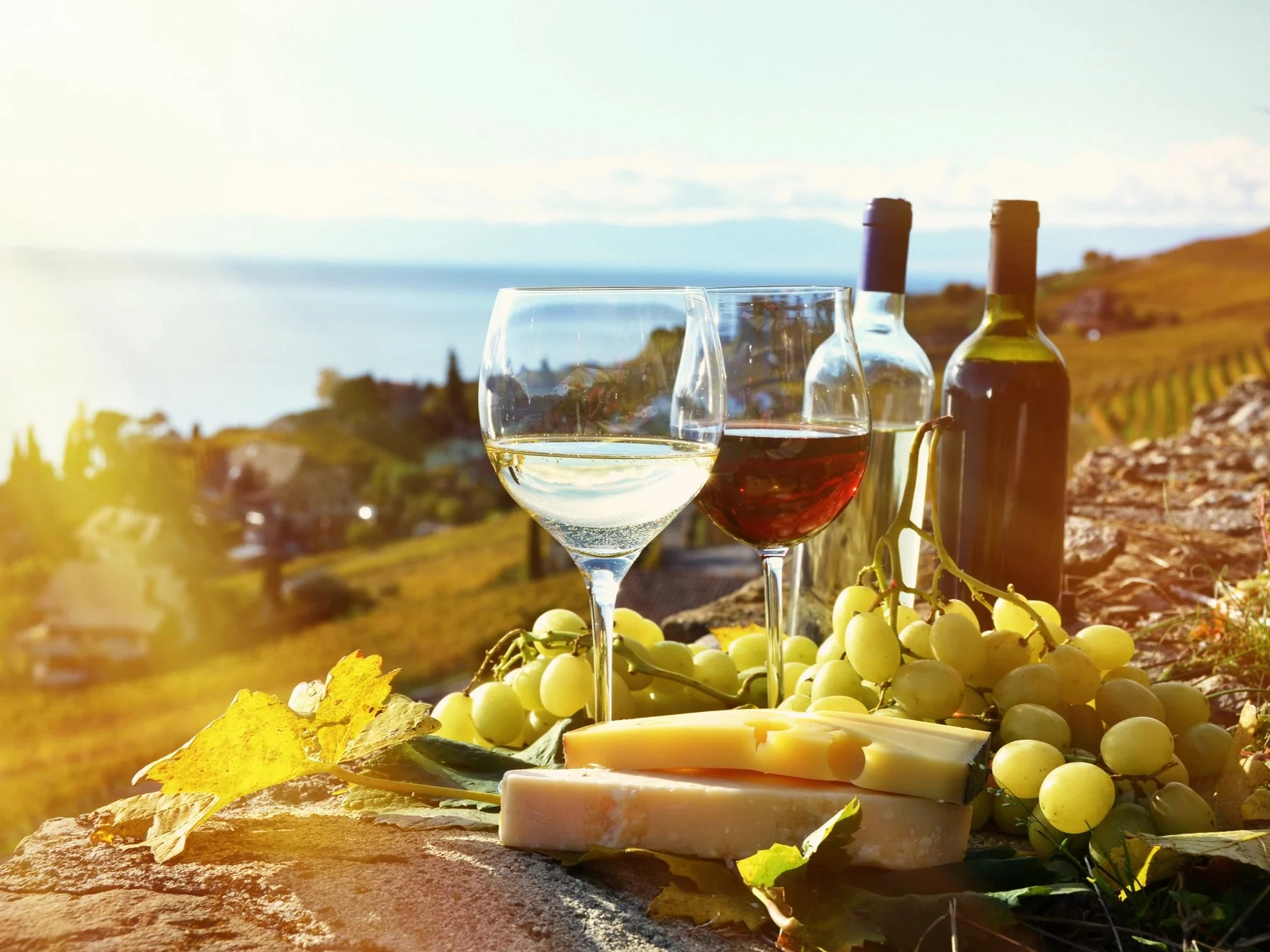 wijn, kaas en druiven op een terras