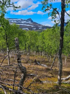 View vanaf de laplandsleden