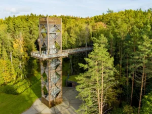 Laju Takas, toren in de natuur Litouwen