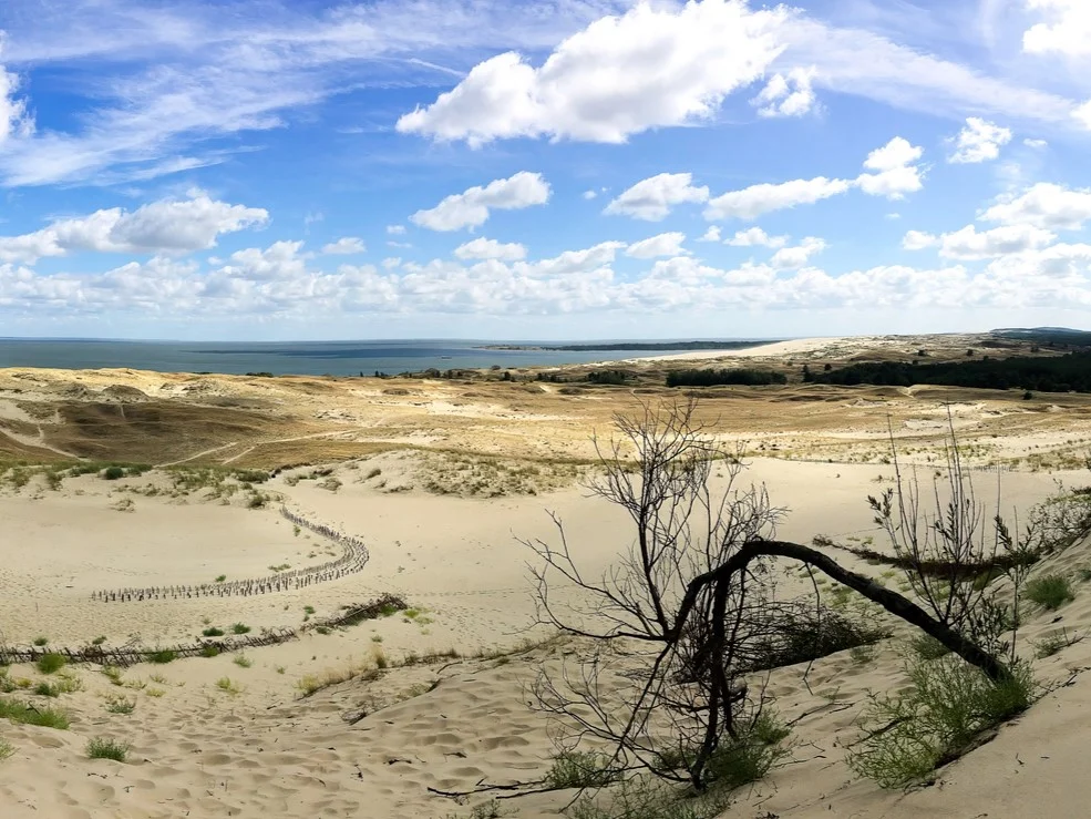 Koerse schoorwal, Litouwen Baltische zee