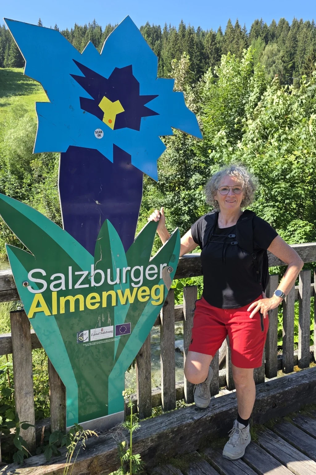 Salzburger Almenweg symbool gentiaan