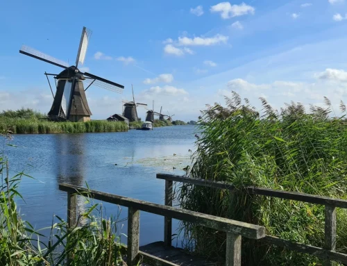 Ontdek de mooiste wandelroutes en gebieden in Zuid-Holland