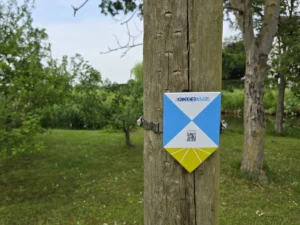 bord op boom krimpenerwaard