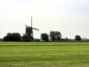 de Bachtenaarmolen