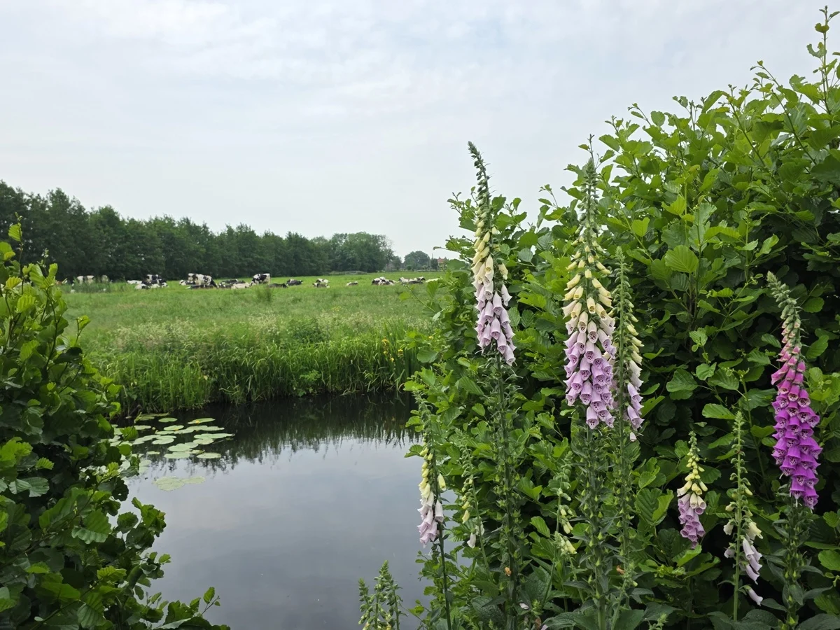 doorkijkje Krimpernerwaard