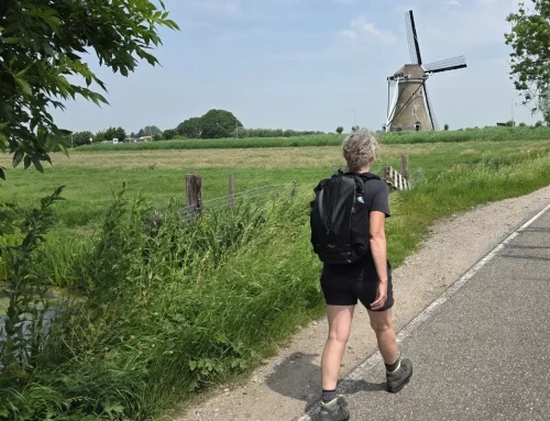 Wandelen in de Krimpenerwaard: langs de Vlist, molens en waterwegen