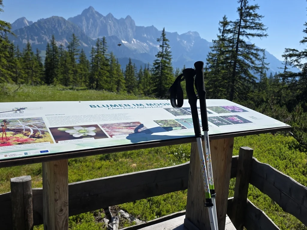 Moosalm