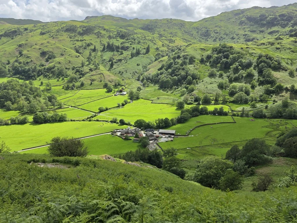 Grasmere Valley