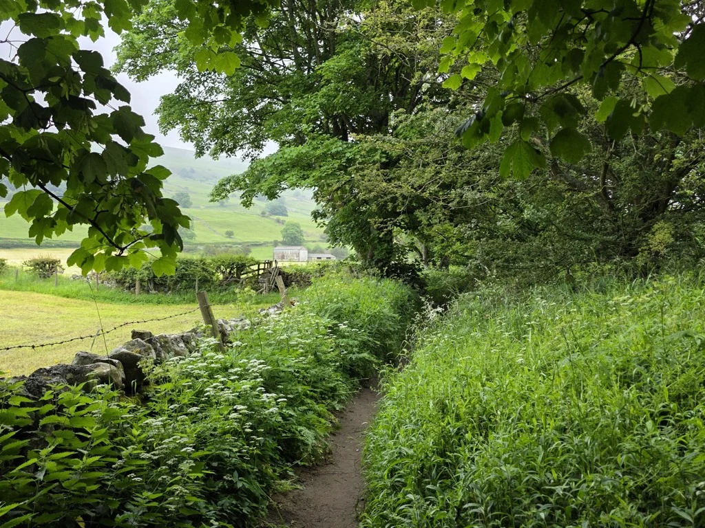 coast to coast Reeth naar Richmond