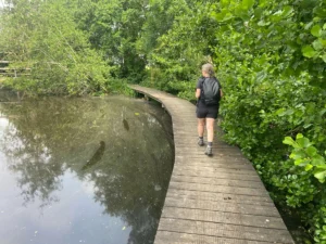 wandelen over houden vlonders