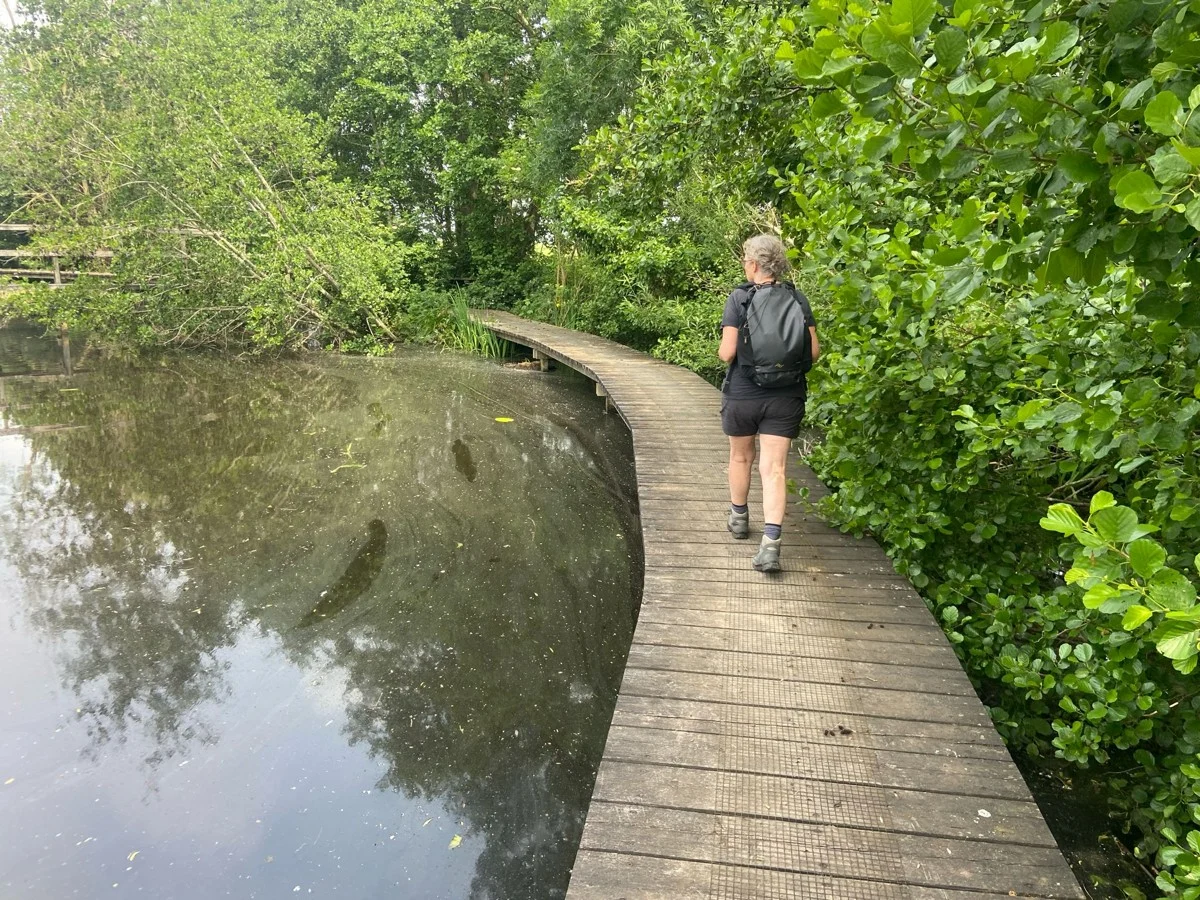 wandelen over houden vlonders