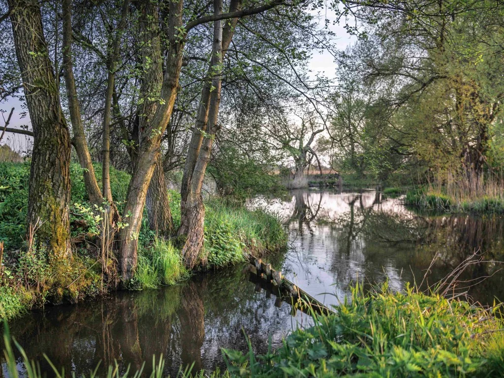Biesbosch - Zuid-Holland