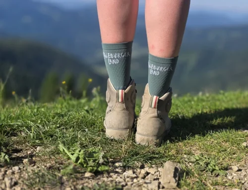 Hitte, hutten en heerlijke Brettljause: mijn nieuwste avontuur op de Salzburger Almenweg